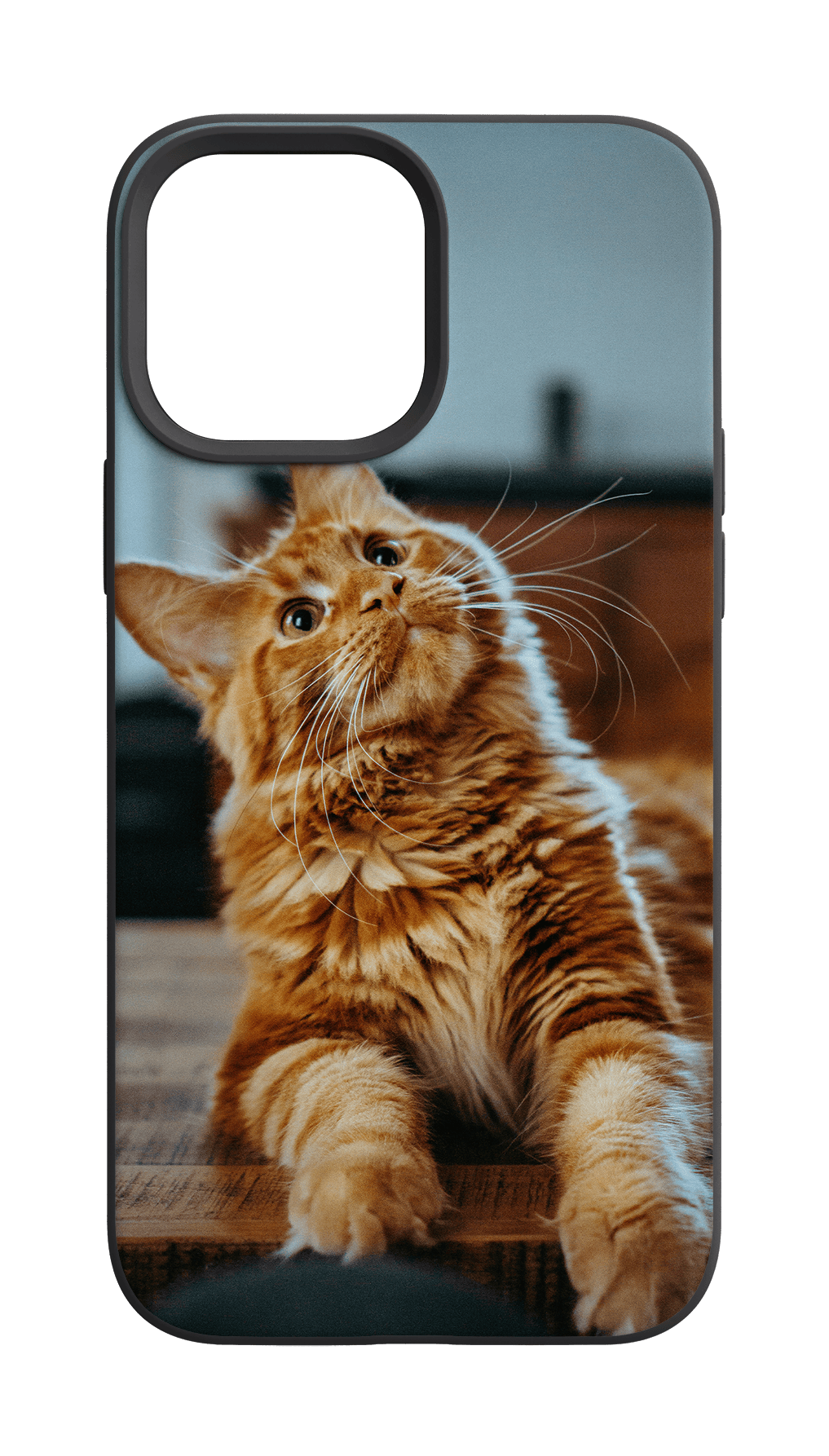 Christmas gift ideas — personalised phone case from PrintCase Express